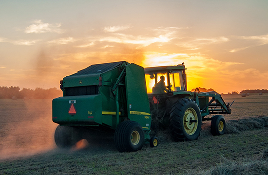 Our Commitment to Natural Farming